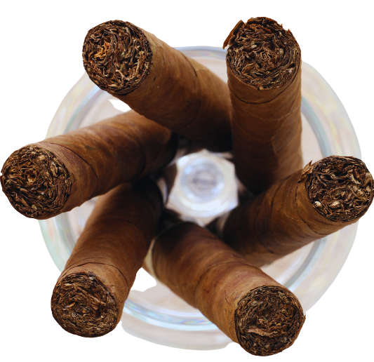 58e315b7-422e-4de5-ae4f-a17d3adf37ab