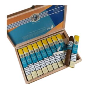 AVO - BOX PREES  - AVO UVEZIAN RITMO - TORO - SUMATRA-BOX 10 PCS