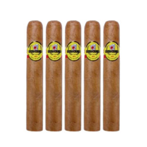 BACCARAT - PAREJO - HAVANA SELECTION  - ROBUSTO - CONNECTICUT -5 PCS