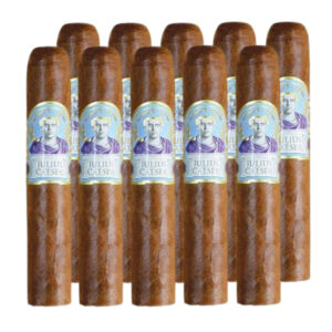 DIAMOND CROWN - PAREJO - JULIUS CAESER - ROBUSTO - ECUADOR HABANO-10 PCS