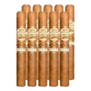SAN LOTANO - PAREJO - REQUIEM - TORO - CONNECTICUT -10 PCS