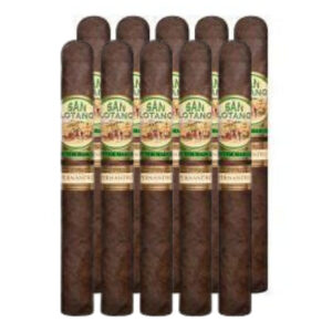SAN LOTANO - PAREJO - REQUIEM - TORO - MADURO-10 PCS